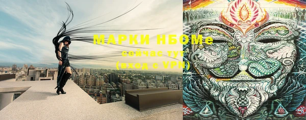 соль ск Алзамай