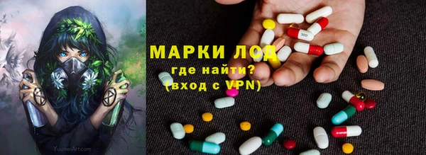 PSILOCYBIN Алексеевка