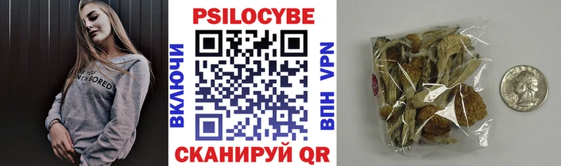 hydra как зайти  Заводоуковск  Псилоцибиновые грибы MAGIC MUSHROOMS 